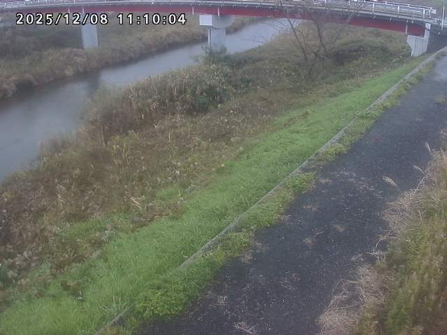 河内川１2025/12/08 11:30:00