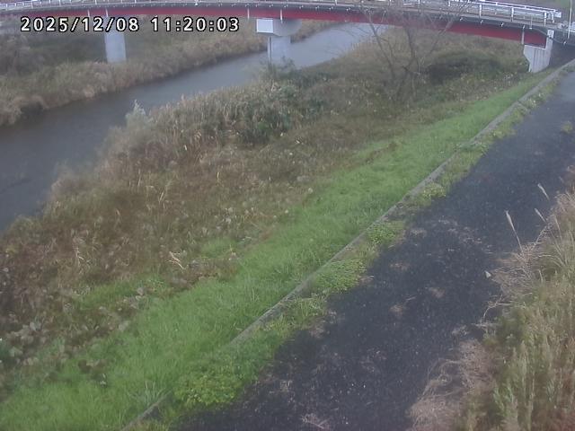 河内川１2025/12/08 11:30:00