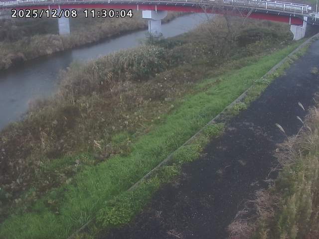 河内川１2025/12/08 11:30:00
