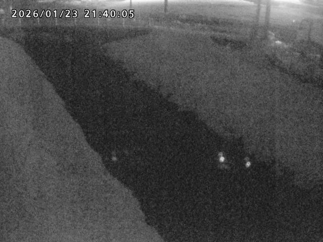 箭渓川１2026/01/24 1:40:00