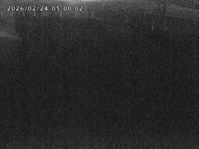 箭渓川１2026/02/25 2:40:00