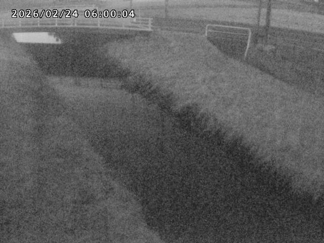 箭渓川１2026/02/25 2:40:00