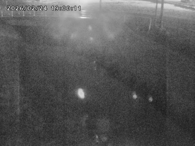 箭渓川１2026/02/25 2:40:00