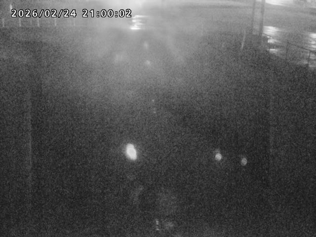 箭渓川１2026/02/25 2:40:00