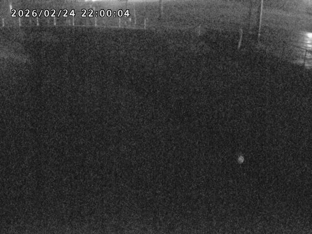 箭渓川１2026/02/25 2:40:00