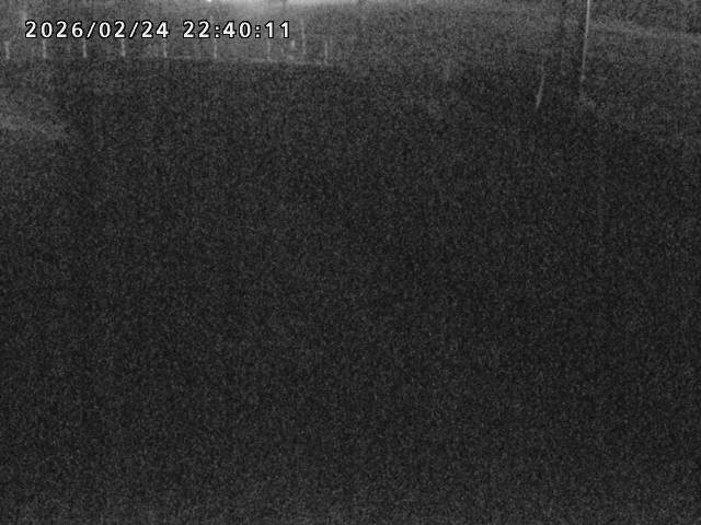 箭渓川１2026/02/25 2:40:00