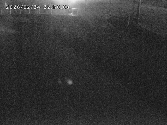 箭渓川１2026/02/25 2:40:00