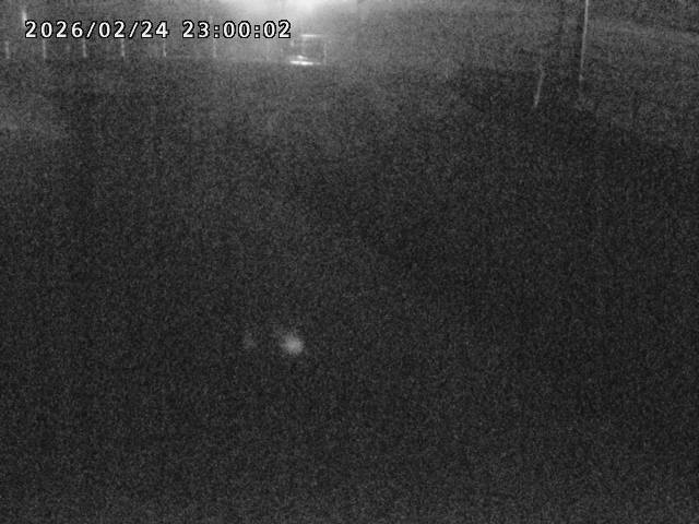 箭渓川１2026/02/25 2:40:00