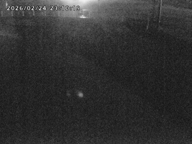 箭渓川１2026/02/25 2:40:00