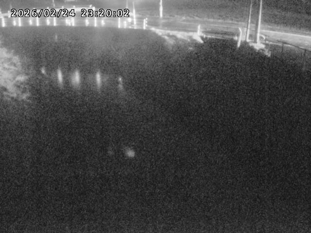 箭渓川１2026/02/25 2:40:00