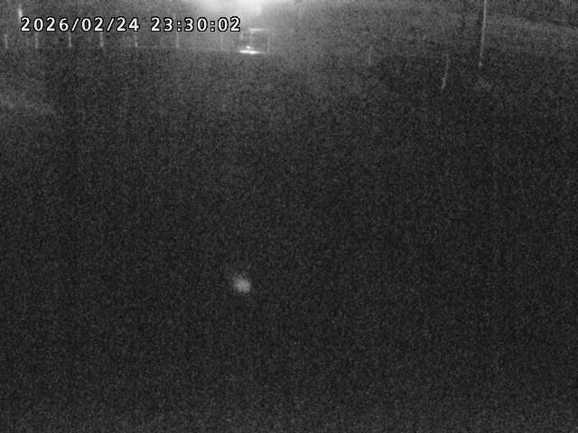 箭渓川１2026/02/25 2:40:00