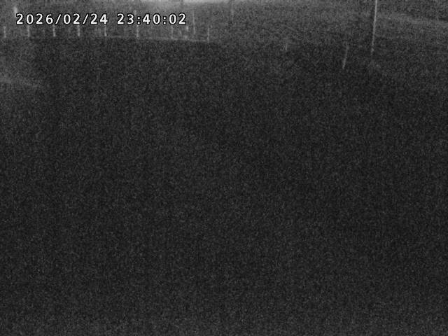 箭渓川１2026/02/25 2:40:00