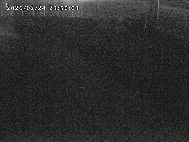 箭渓川１2026/02/25 2:40:00