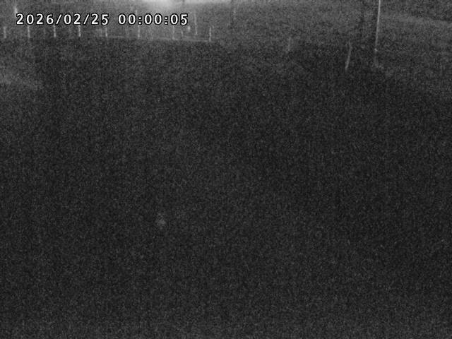 箭渓川１2026/02/25 2:40:00