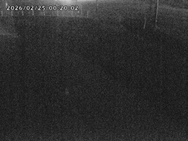 箭渓川１2026/02/25 2:40:00