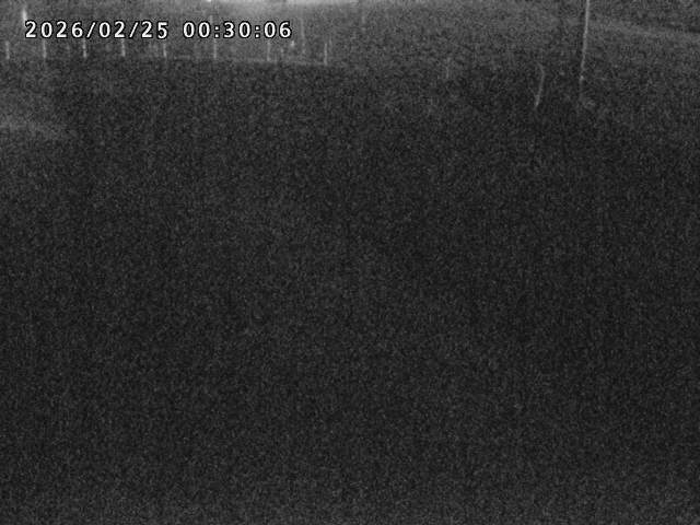 箭渓川１2026/02/25 2:40:00