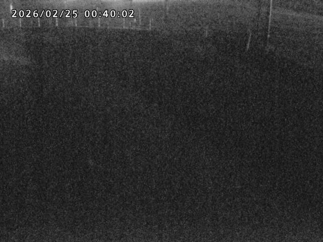 箭渓川１2026/02/25 2:40:00