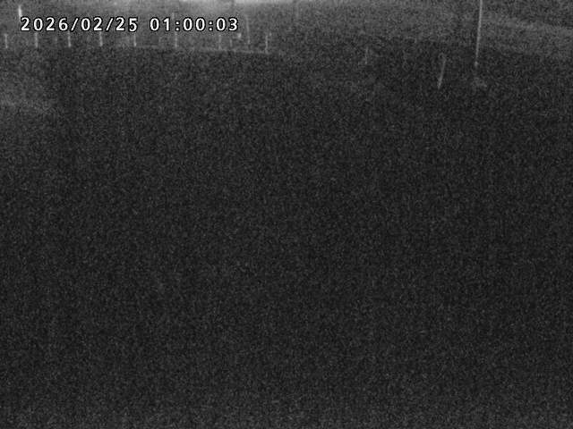 箭渓川１2026/02/25 2:40:00