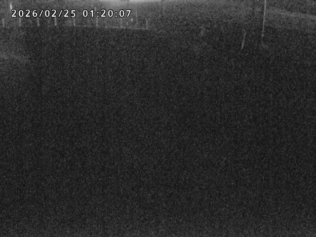 箭渓川１2026/02/25 2:40:00