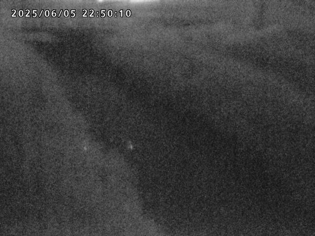 箭渓川１2025/06/06 1:00:00