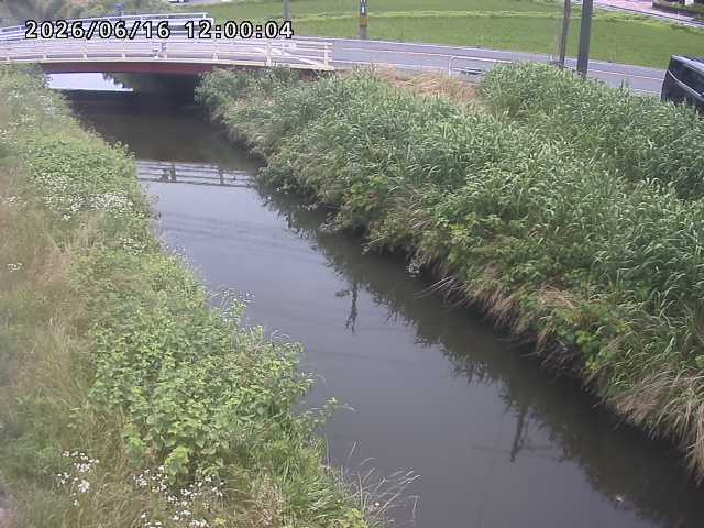 箭渓川１2026/06/17 12:00:00