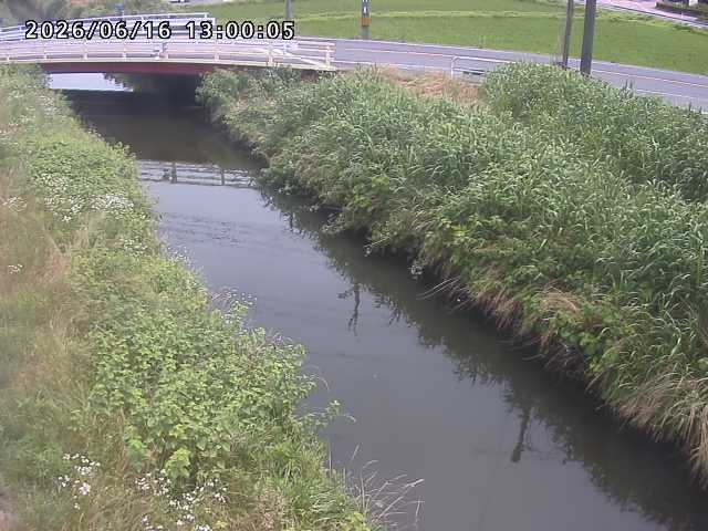 箭渓川１2026/06/17 12:00:00