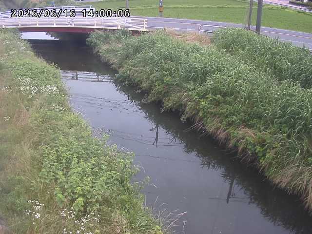 箭渓川１2026/06/17 12:00:00