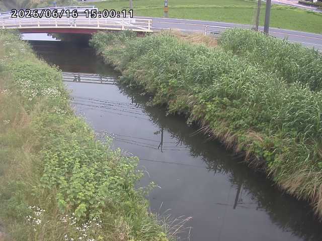 箭渓川１2026/06/17 12:00:00