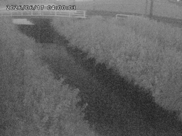 箭渓川１2026/06/17 12:00:00