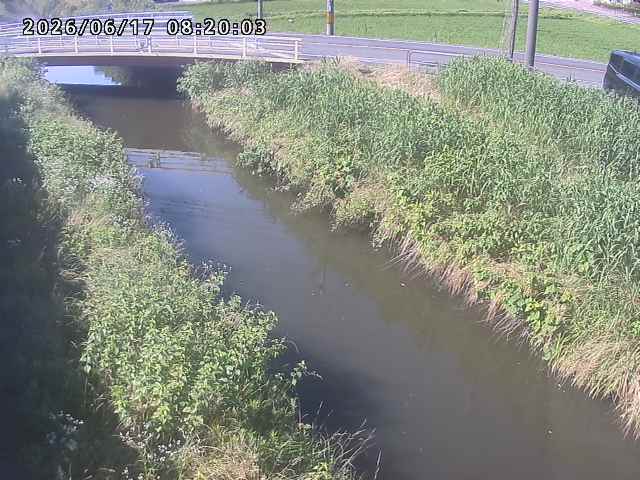 箭渓川１2026/06/17 12:00:00