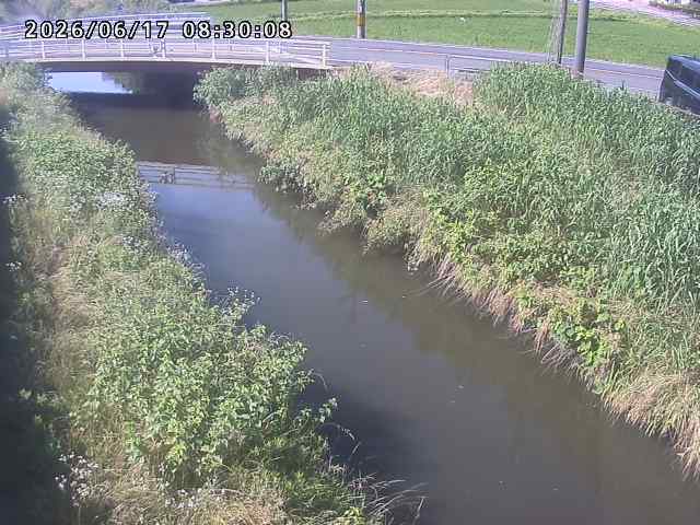 箭渓川１2026/06/17 12:00:00
