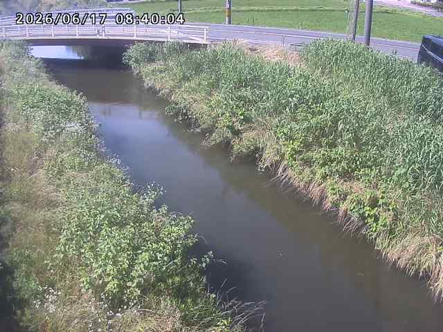 箭渓川１2026/06/17 12:00:00