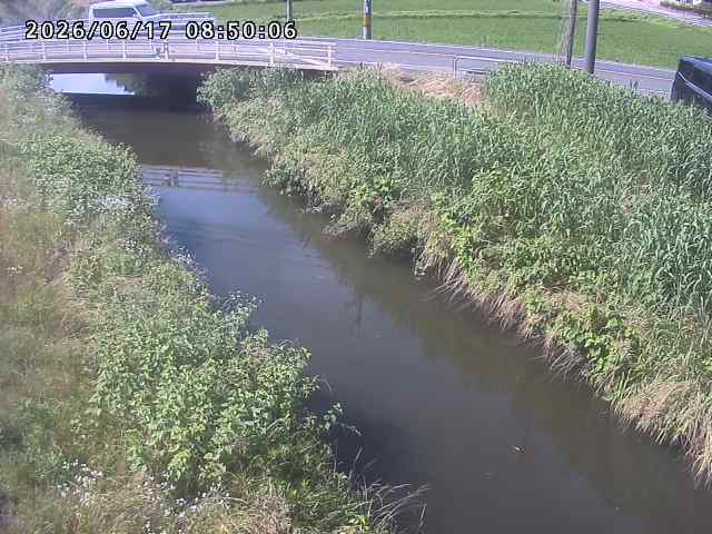 箭渓川１2026/06/17 12:00:00