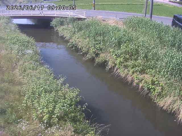 箭渓川１2026/06/17 12:00:00