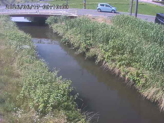 箭渓川１2026/06/17 12:00:00