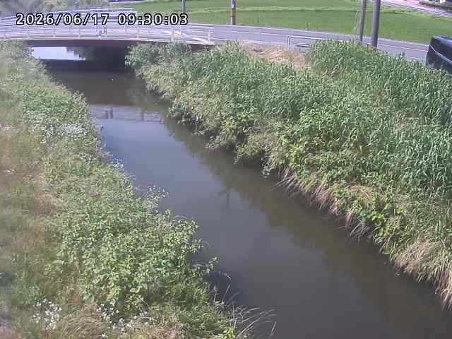 箭渓川１2026/06/17 12:00:00