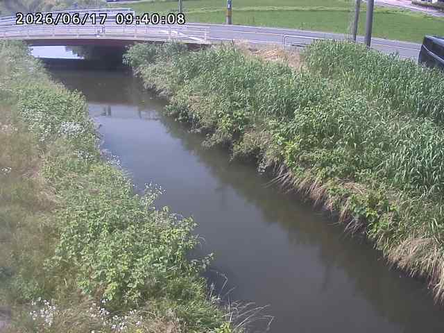 箭渓川１2026/06/17 12:00:00