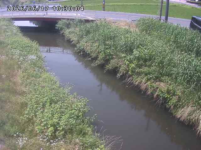 箭渓川１2026/06/17 12:00:00
