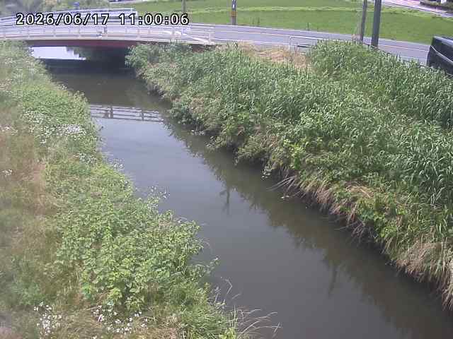 箭渓川１2026/06/17 12:00:00