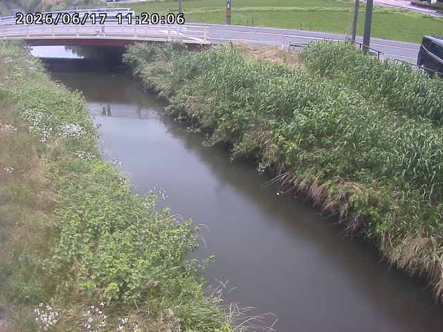箭渓川１2026/06/17 12:00:00