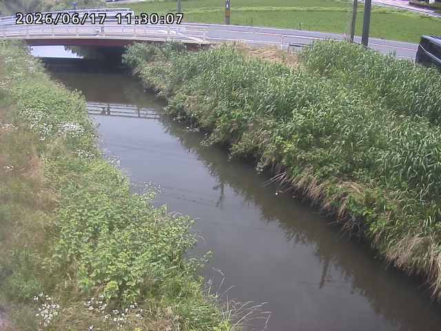 箭渓川１2026/06/17 12:00:00