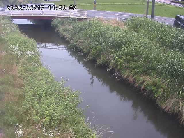 箭渓川１2026/06/17 12:00:00