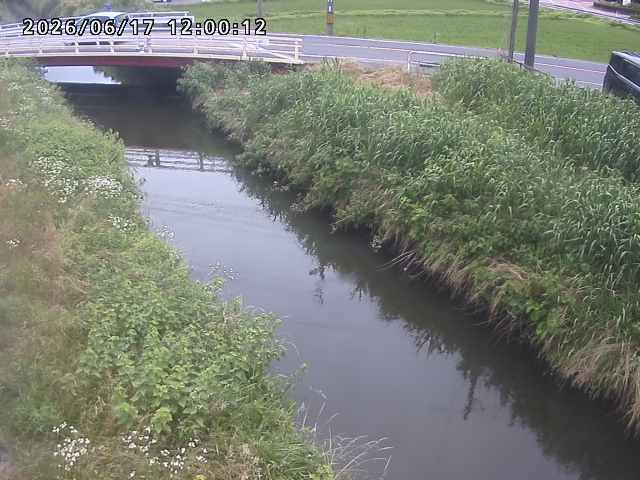箭渓川１2026/06/17 12:00:00
