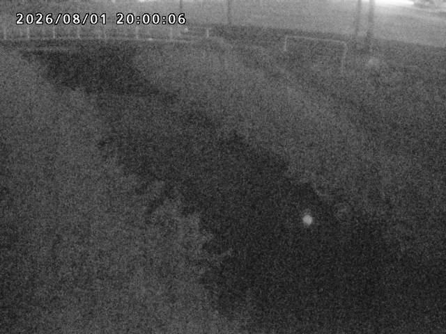 箭渓川１2026/08/01 20:50:00