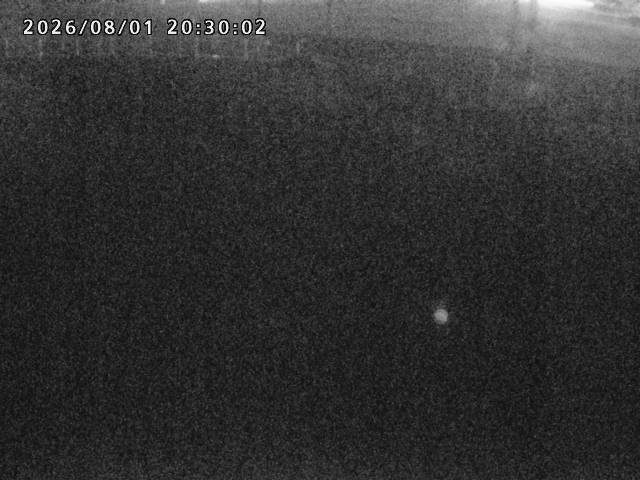 箭渓川１2026/08/01 20:50:00