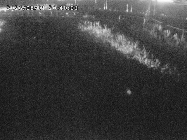 箭渓川１2026/08/01 20:50:00