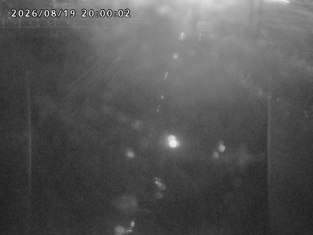 箭渓川１2026/08/20 8:10:00