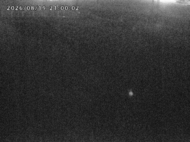 箭渓川１2026/08/20 8:10:00
