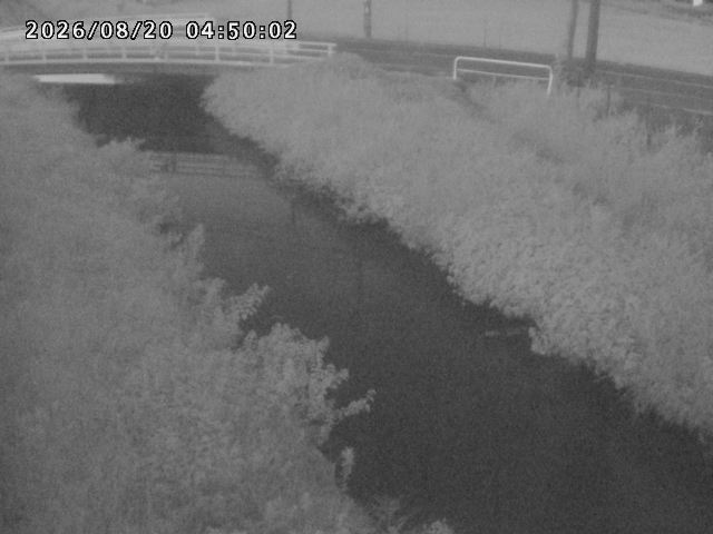 箭渓川１2026/08/20 8:10:00