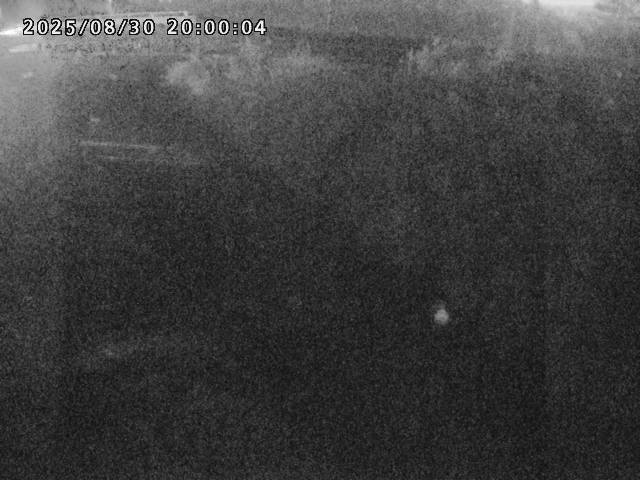 箭渓川１2025/08/31 9:10:00